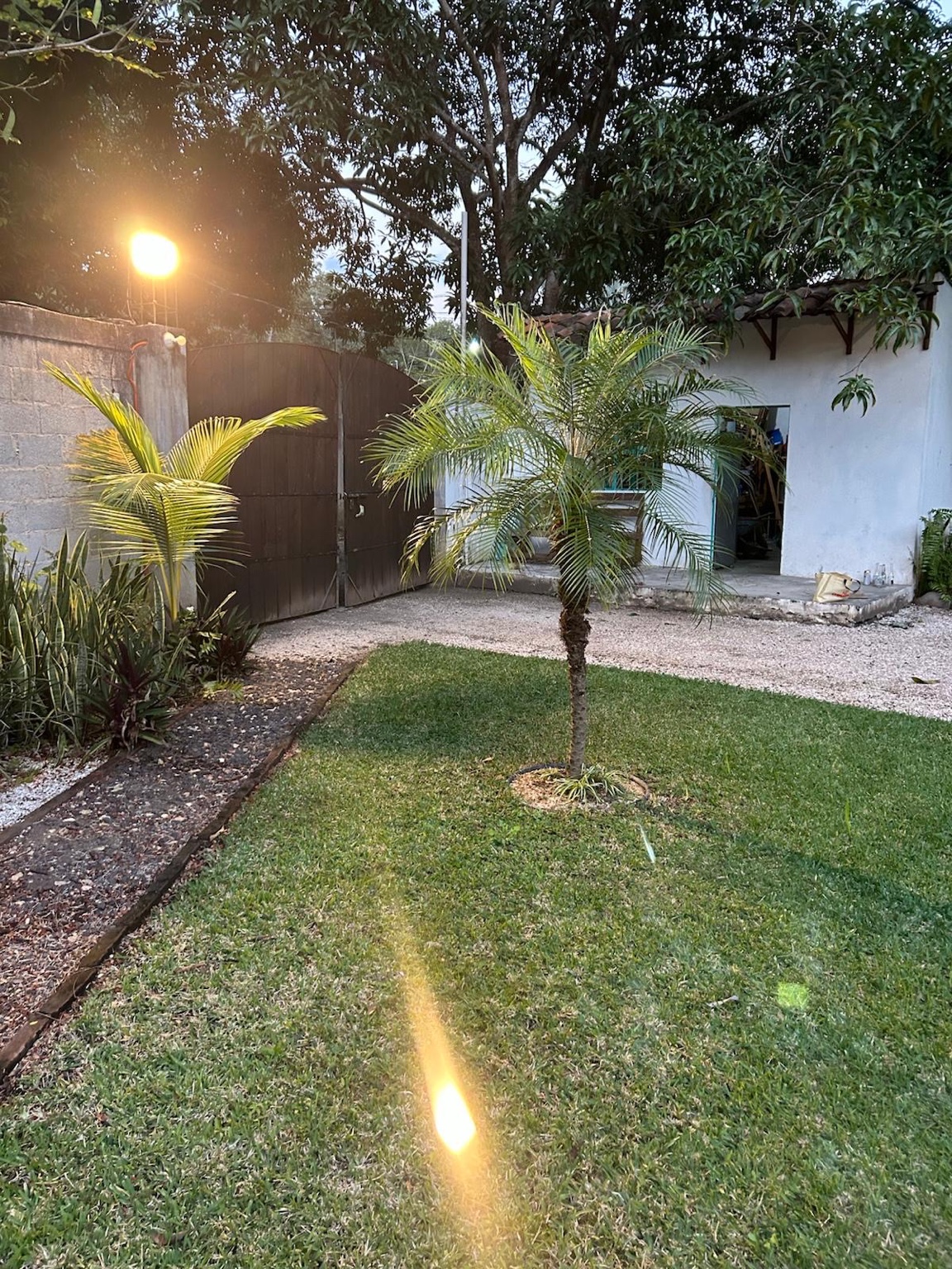 Estacionamiento y jardín