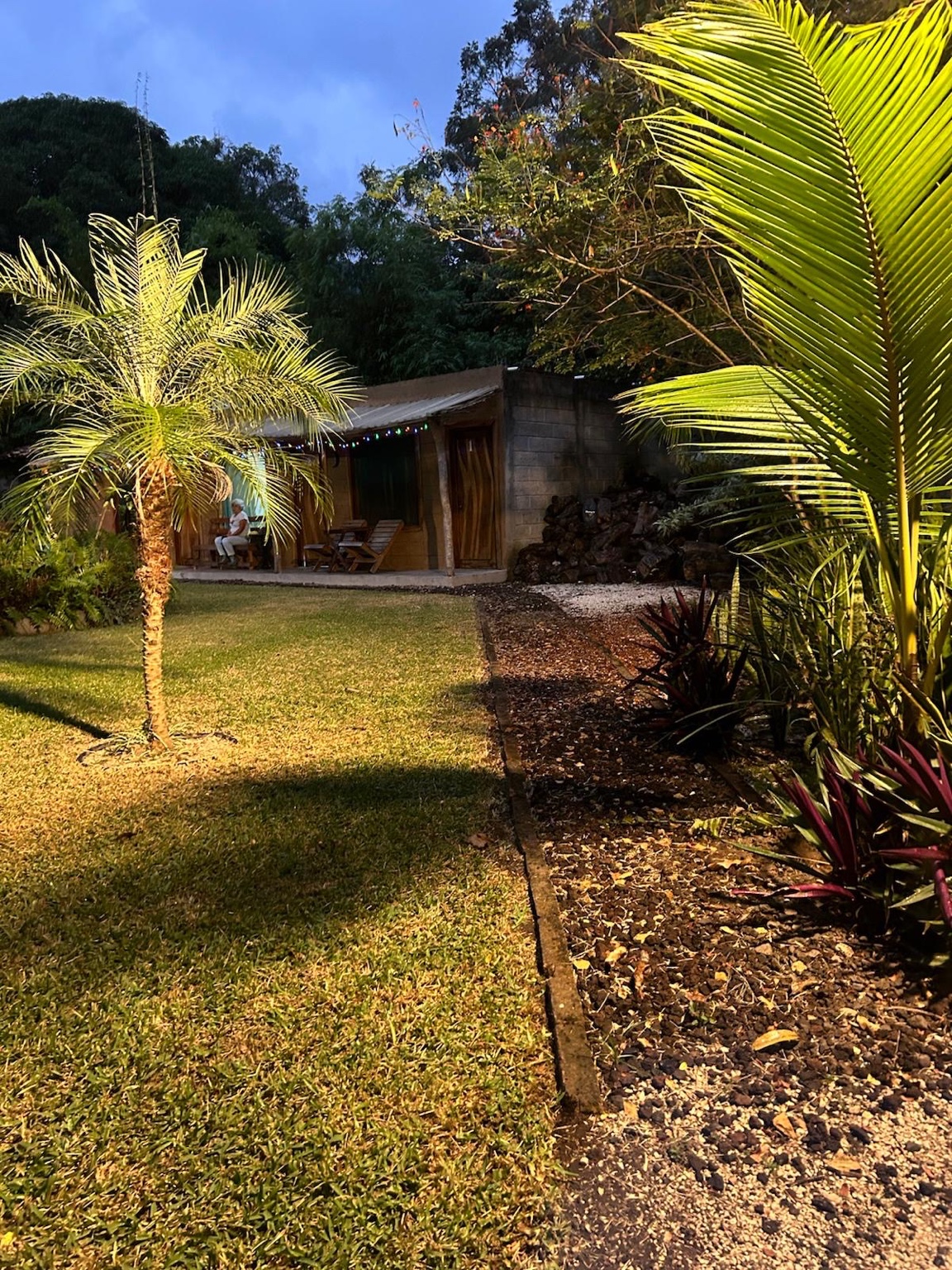 Jardín iluminado