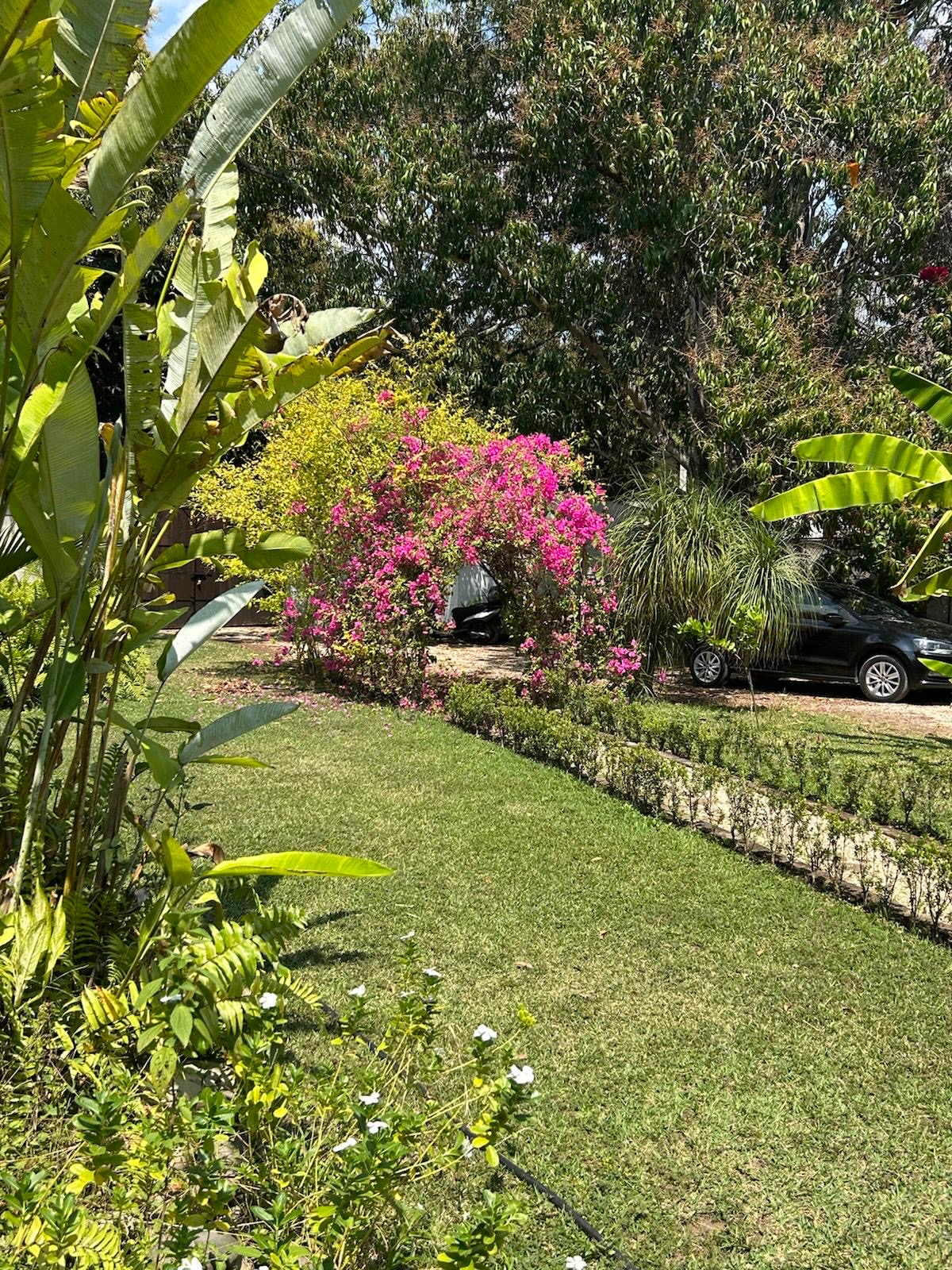 Río en Jalcomulco